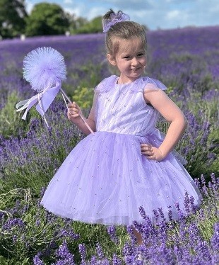 get-the-perfect-dress-from-the-baby-girl-party-dresses-big-0