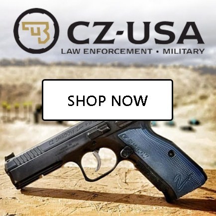 how-to-buy-a-gun-online-safe-and-secure-no-risk-big-2