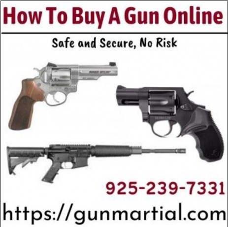 how-to-buy-a-gun-online-safe-and-secure-no-risk-big-1
