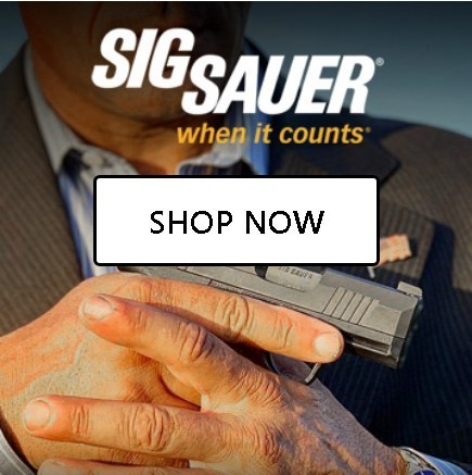 how-to-buy-a-gun-online-safe-and-secure-no-risk-big-4