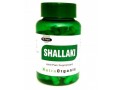 buy-herbal-shallaki-capsules-for-minor-aches-and-pain-nutraorganix-small-0