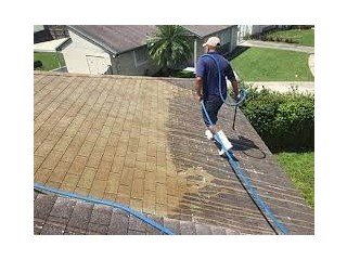Professional Roof Cleaning Miami