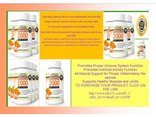 Promotes Proper Immune System Function