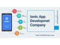 ionic-app-development-company-in-usa-india-small-0