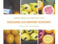 organic-co-for-import-export-trade-agencies-supplies-small-0
