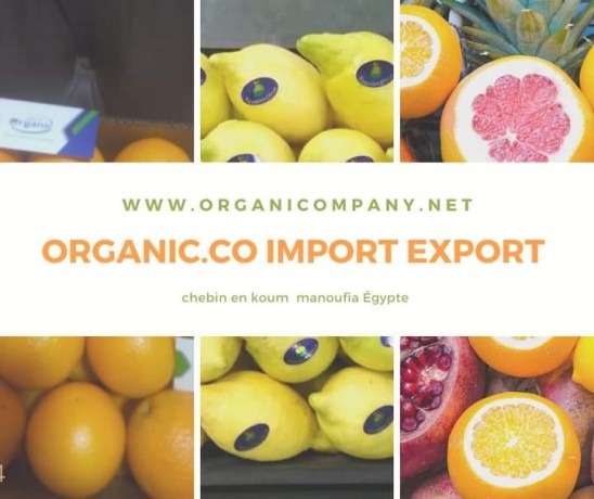 organic-co-for-import-export-trade-agencies-supplies-big-0