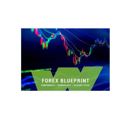 professional-forex-trading-coursethe-wealth-builders-big-0