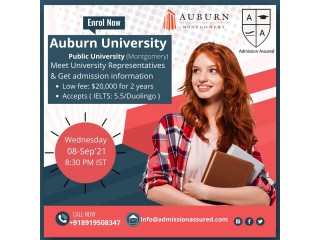 Consultant for abroad study