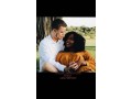 usa-canada-best-interracial-bring-back-your-ex-love-spells-caster-small-0