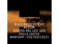 usa-canada-top-spiritualist-and-best-bring-back-your-ex-love-spells-caster-small-3