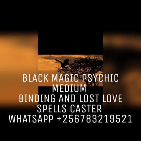 usa-canada-top-spiritualist-and-best-bring-back-your-ex-love-spells-caster-big-3