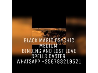 USA CANADA BEST INTERRACIAL BRING BACK YOUR EX LOVE SPELLS CASTER