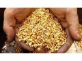 pure-african-gold-nuggets-for-sale-27781797325-at-affordable-price-small-0