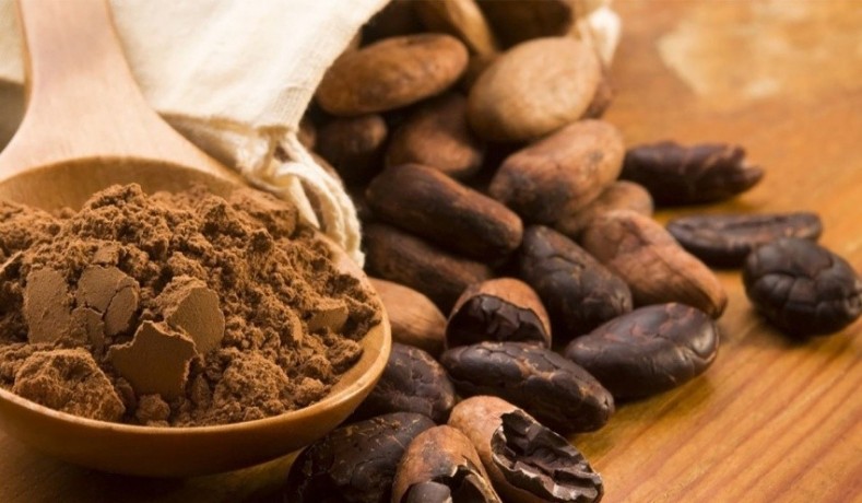 fda-registration-cacao-products-big-0