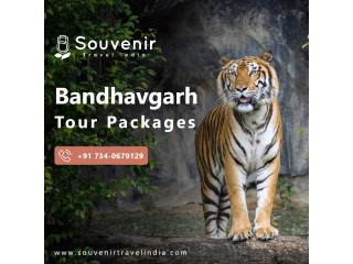 Find Best Tour Operator In India