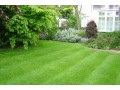 evergreen-sprinkler-and-landscaping-services-small-0