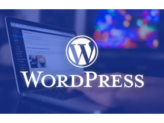 WordPress website now - Get your website in 12-15 minutes
