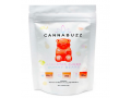 cannabuzz-assorted-jumbo-gummy-bears-1000mg-thc-small-0