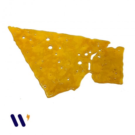 black-tuna-shatter-big-0