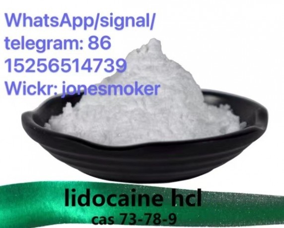 top-supplier-lidocaine-hcl-cas-73-78-9-big-1