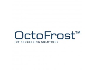 Octofrost IQF machine
