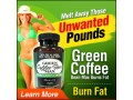 the-green-coffee-weight-loss-program-small-2