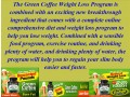 the-green-coffee-weight-loss-program-small-1