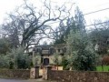 explore-more-than-500-wineries-and-16-viticulture-areas-with-napa-valley-tours-small-2