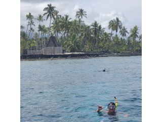 Big island snorkel trips