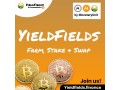 yieldfields-finance-small-2