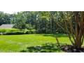 require-tree-care-in-east-hampton-small-0