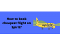 book-a-flight-on-spirit-airlines-small-0