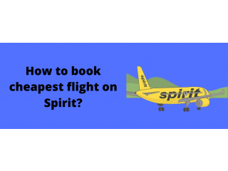 Book a flight on Spirit airlines ?