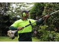 lawn-mowing-ascot-vale-small-0