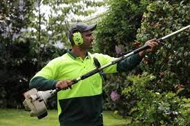 lawn-mowing-ascot-vale-big-0