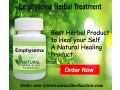 natural-remedies-for-emphysema-small-0