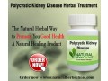 herbal-supplements-for-polycystic-kidney-disease-small-0