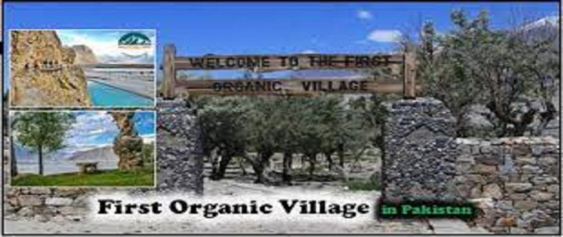 the-first-organic-village-skardu-reviews-about-organic-village-mediazoon-pakistan-big-0