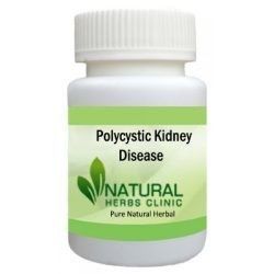 herbal-remedies-for-polycystic-kidney-disease-big-0