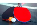 ttmgvsport-table-tennis-small-0