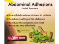 herbal-products-for-abdominal-adhesions-small-0