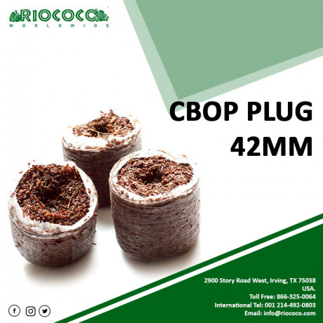 coco-coir-substrate-a-unique-sustainable-solution-for-eco-friendly-horticulture-big-0