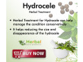 herbal-remedies-for-hydrocele-small-0
