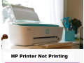 why-my-hp-printer-not-printing-small-0