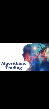 low-cost-algo-trading-software-big-0