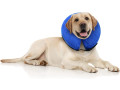 e-collar-for-small-dogs-small-0