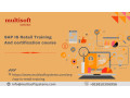 sap-is-retail-training-and-certification-course-small-0