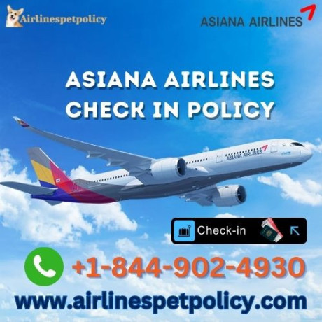 what-is-asiana-airlines-check-in-policy-big-0