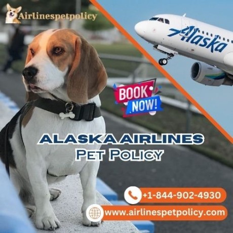 what-is-pet-policy-for-alaska-airlines-big-0