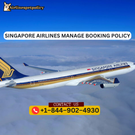 how-to-manage-booking-in-singapore-airlines-1-844-902-4930-big-0